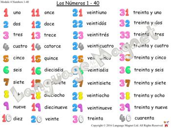 what is 40 in spanish|spanish numbers to 40.